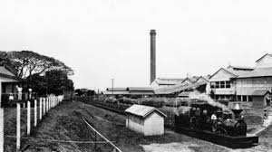 Colonial Sugar Refining Company, Fiji mill